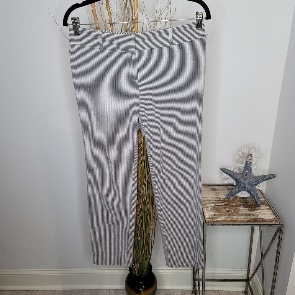 Ann Taylor Pants Womens‎ 4